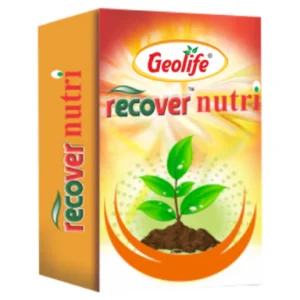 Geolife Recover Nutri