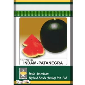 Watermelon Round Black