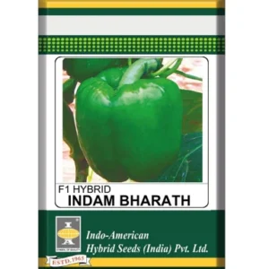 Capsicum