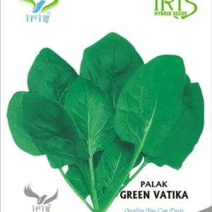 Palak
