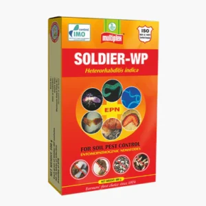 Soldier-WP