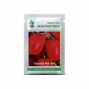 Tomato