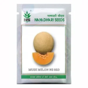 Muskmelon